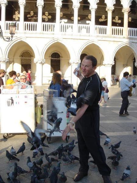 Chuck & the Pigeons in Piazza San Marco