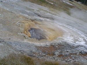 upper geyser basin 5