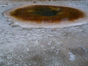upper geyser basin 15