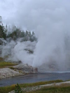 upper geyser basin riverside geyser