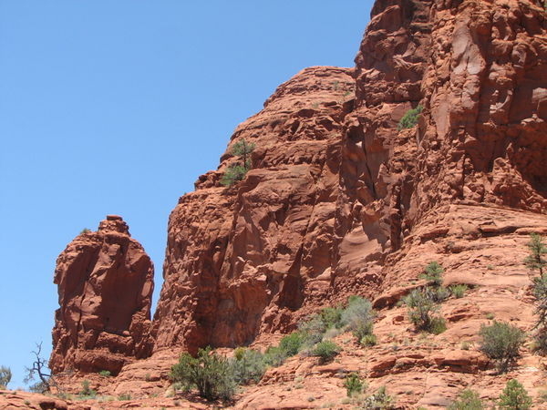 Elephant Red Rock