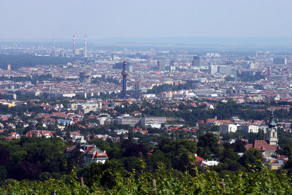 Panoramic View of Vienna