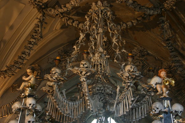 The Bone Displays