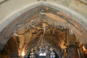 The Bone Displays