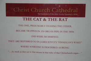 The Catand the Rat