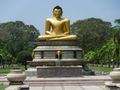 buddha in victoria park