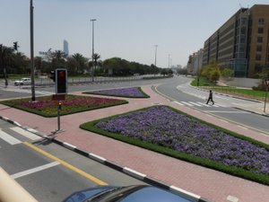 flower bed lined roads