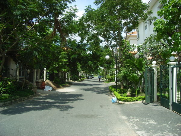 Our quiet little street