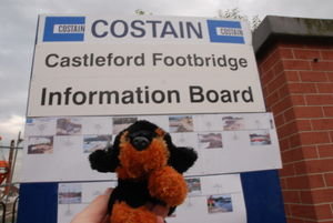 Costain Site