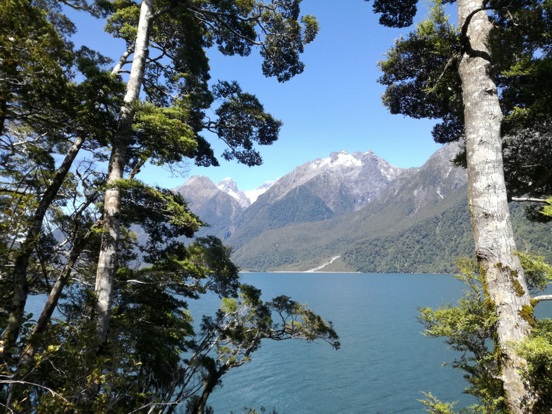 Hollyford Trail is a rather special walk