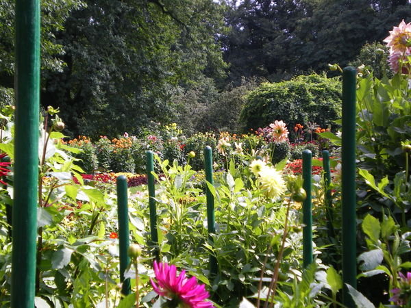 Jardim Botânico 2