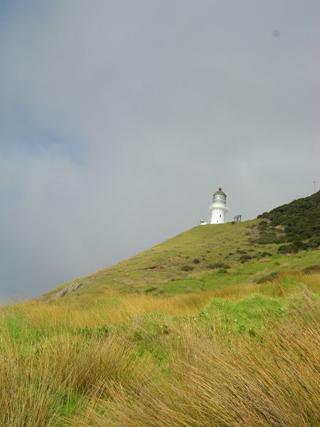 Cape Brett Light House