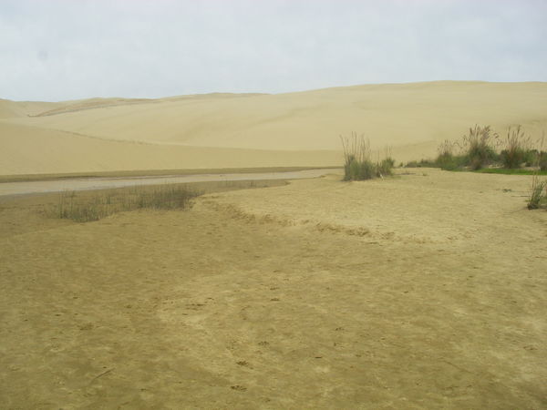 sand dunesme