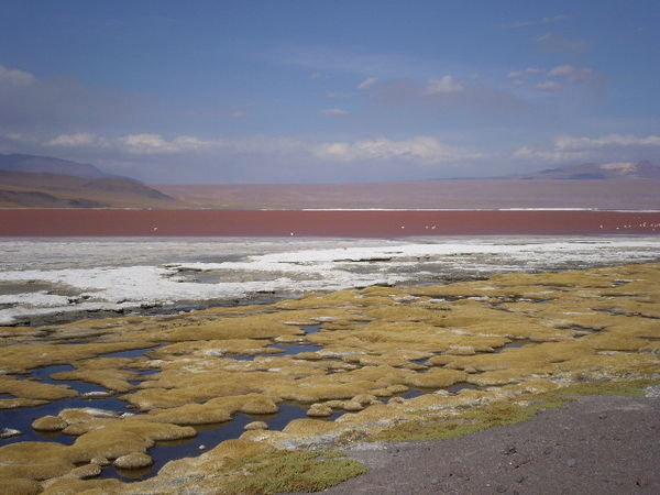 (tour) lago colorado, seriously red