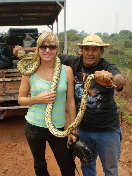Pantanal: anaconda and Walter