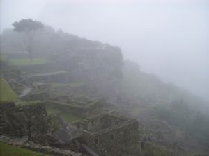 M.P, more foggy ruines