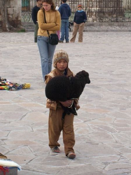 A, this is how kids are brought in with young animals to make money(pics tourists) (tour) 