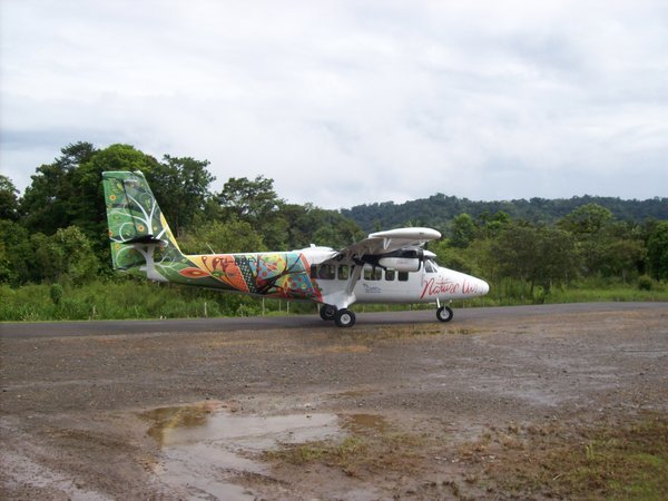 Jungle Plane