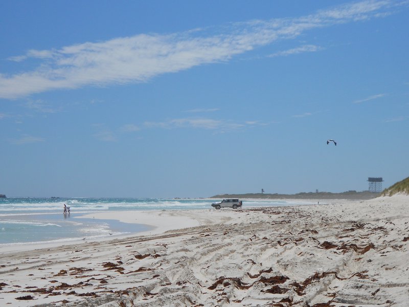 Lancelin; surfing!