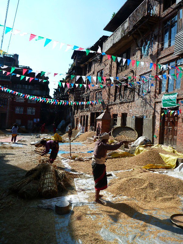 All over the place; seperating the rice- Bhaktapur