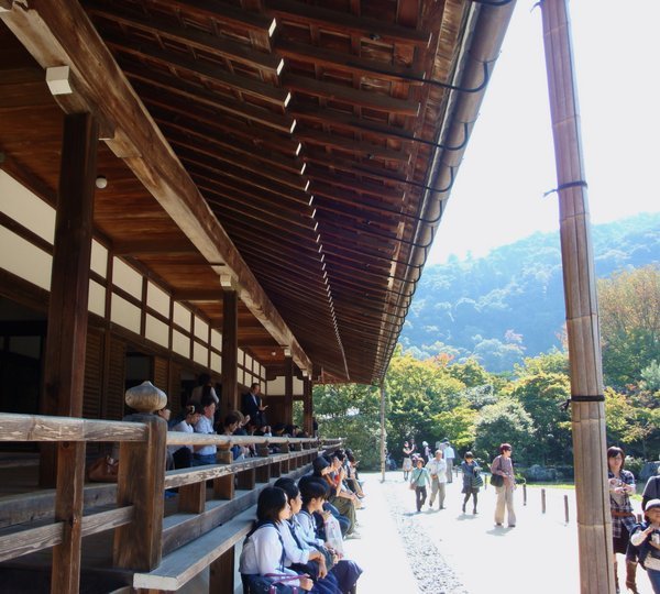 "Quietly" admiring the zen garden in tenryuji temple