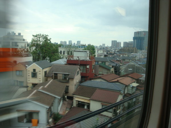 Window view (2)