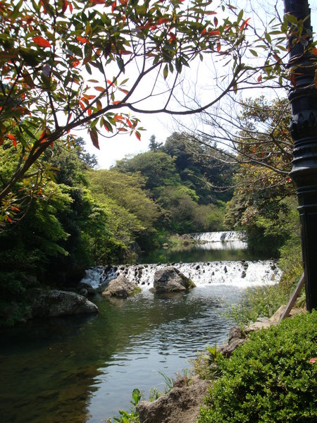 Park of Cheonjiyeon Waterfall 