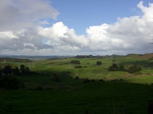 Tramping in the Waikato region