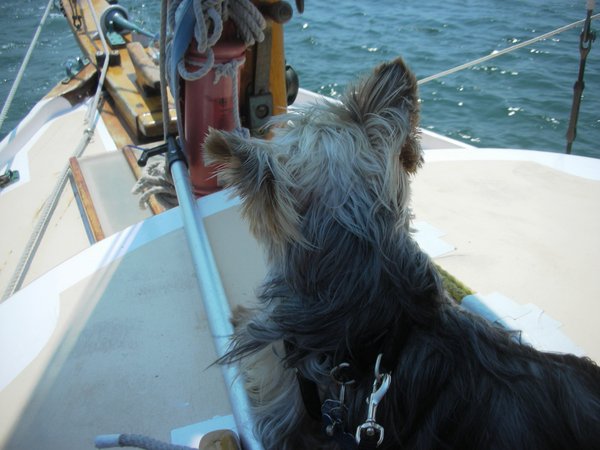 Ike at the helm