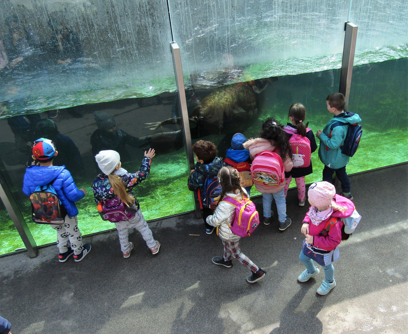 Schonbrunn Zoo