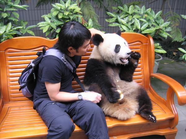 Ummm, excuse me sir? Mr. Panda?