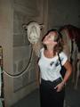 Ever Kissed a Camel?