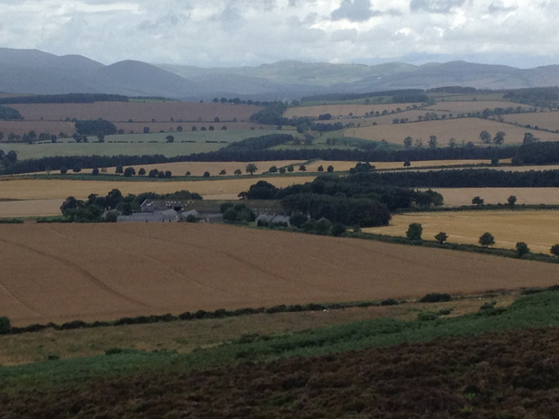 a lats view looking back at the Cheviot Hills