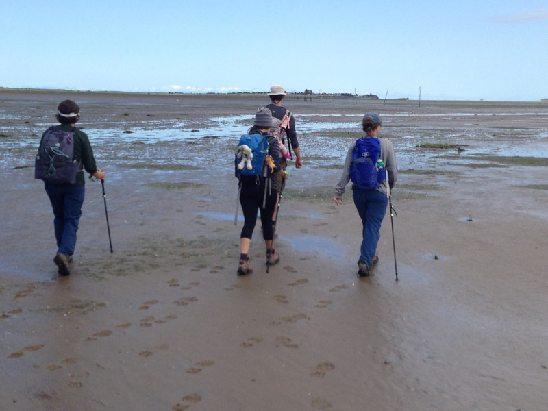 the mudflats to Linidsfarne, following the poles in the mud