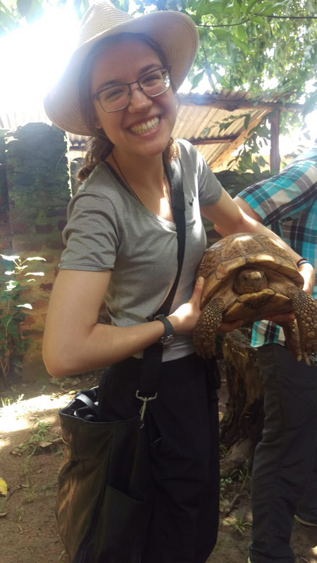 The 120 year old tortoise
