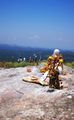 Shiva Shrine with view of everyone behind