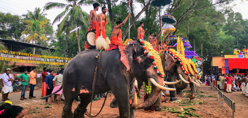 The elephant line up with the Sadhus on top