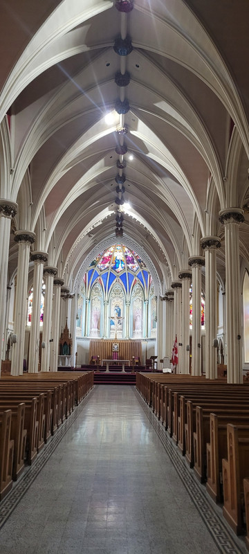 St Mary's Cathedral Basilica. 