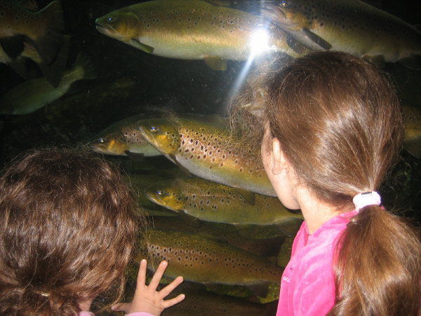 Girls at the London Aquarium