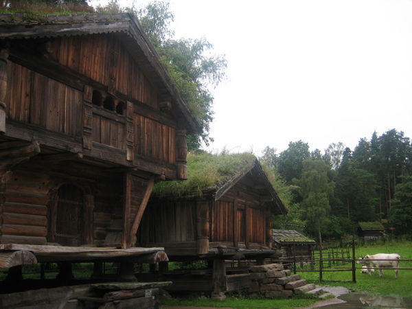 Traditional olden days Norwegian houses