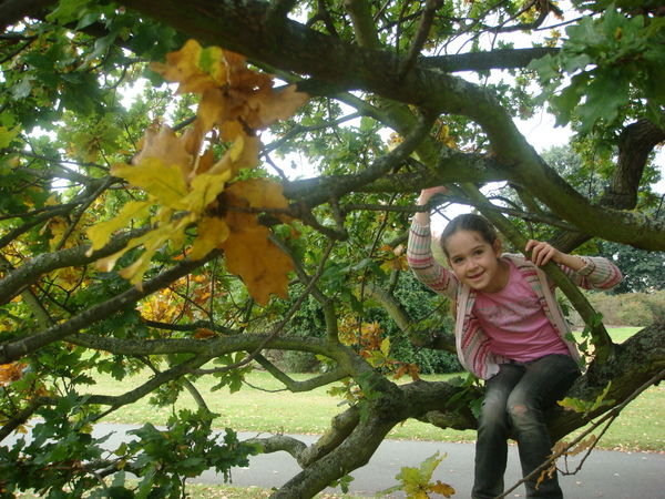 Lauren in an Autumn tree