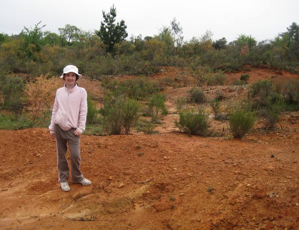 Tine in Red Earth of Hill End