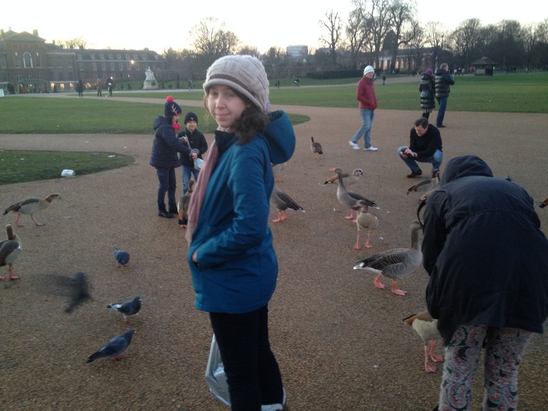 With geese in Hyde Park