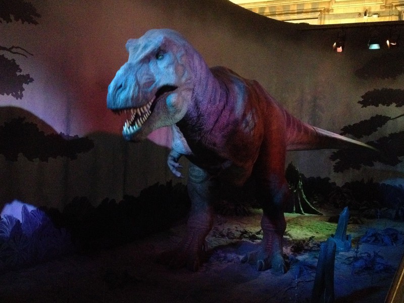T-Rex at NH museum