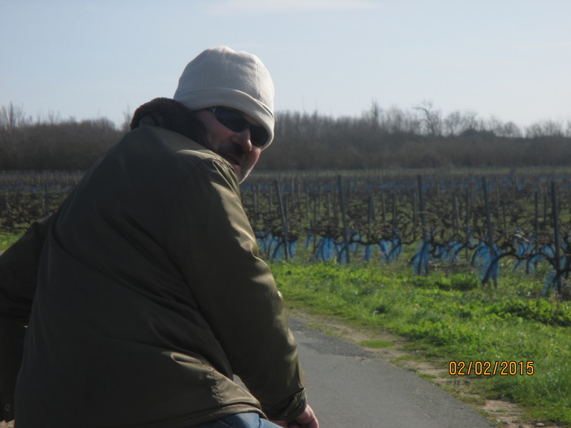 Riding through the vineyards