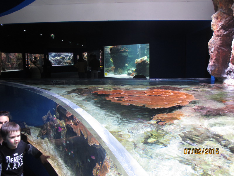 La Rochelle Aquarium