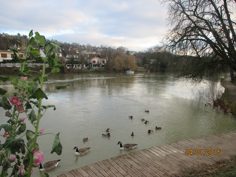 The River Marne