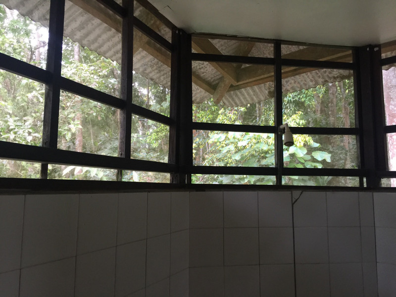 Bambua bathroom view