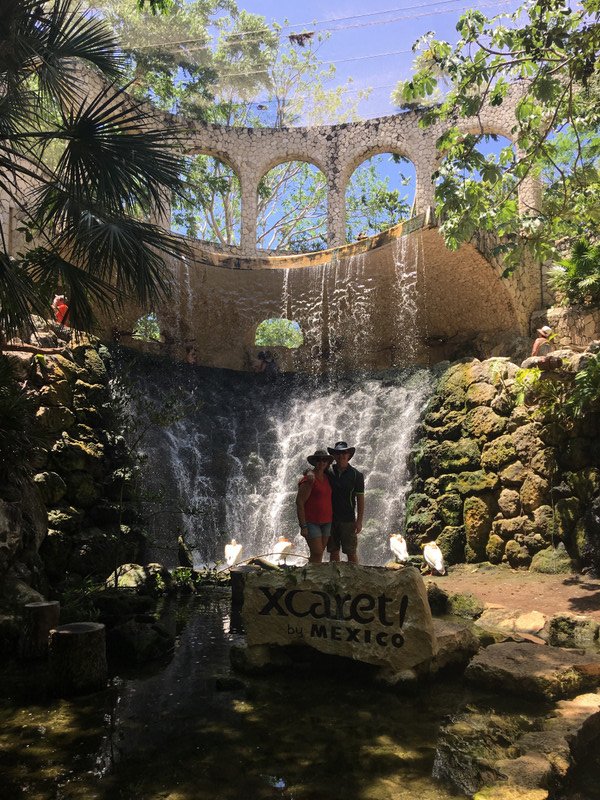 Aviary Waterfall