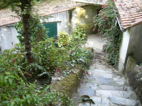 Stairs in Parque de Liberdade